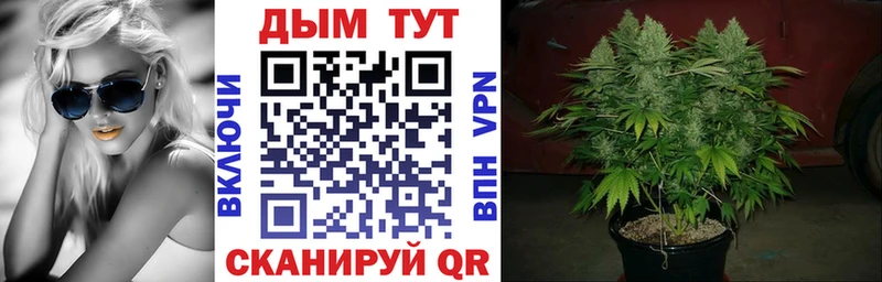 Купить закладку Гашиш  СОЛЬ  Меф  Метамфетамин  Каннабис  Заринск