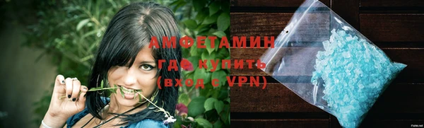 молекула духа Семилуки