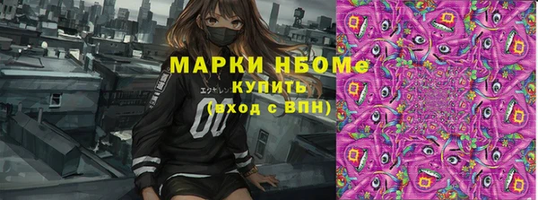молекула духа Семилуки